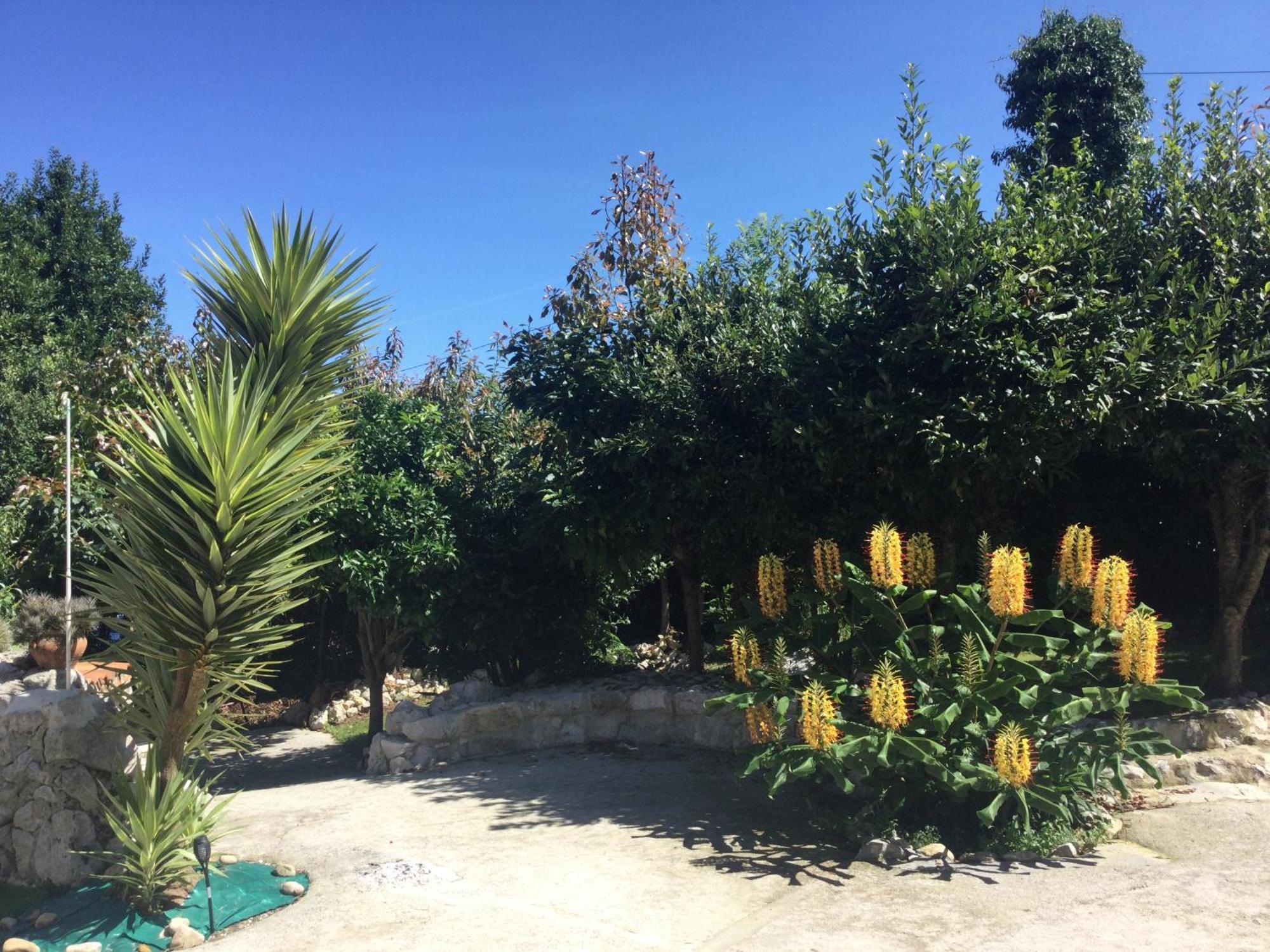 Casa Jardin Rocablanca Llanes Villa Celorio  Eksteriør billede