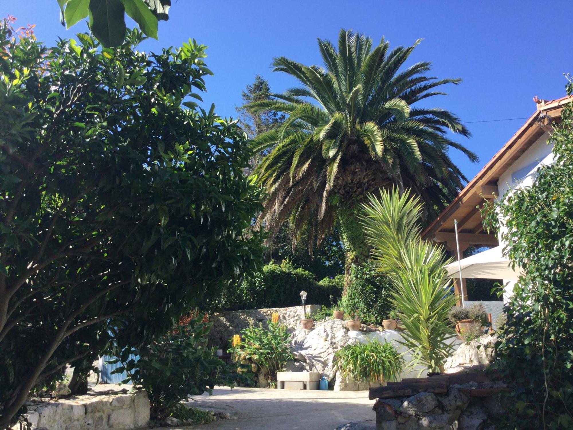 Casa Jardin Rocablanca Llanes Villa Celorio  Eksteriør billede