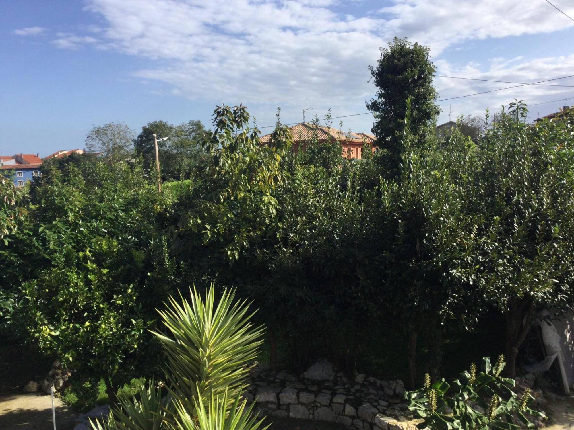 Casa Jardin Rocablanca Llanes Villa Celorio  Eksteriør billede