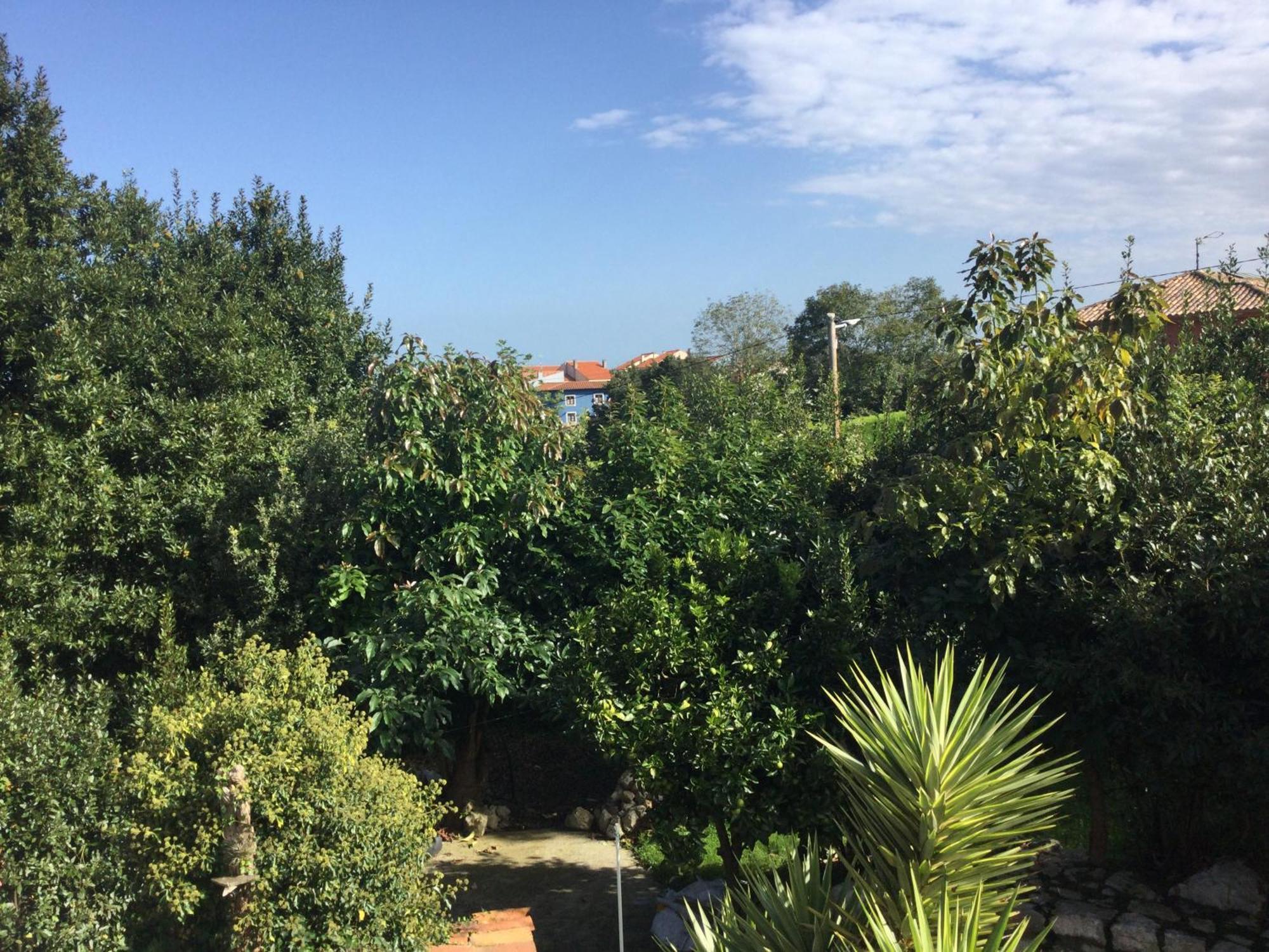 Casa Jardin Rocablanca Llanes Villa Celorio  Eksteriør billede